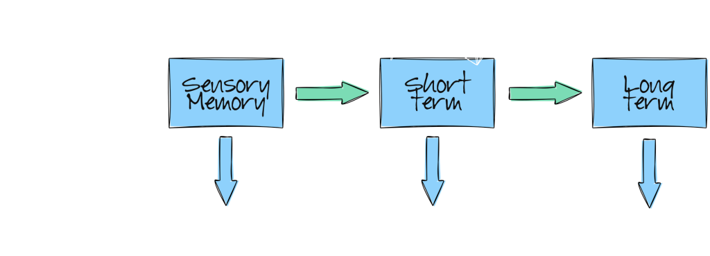 Types of memory explained in relation to Anki-