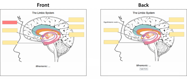 The Best Anki Add-ons for Medical Students: Image Occlusion Enhanced