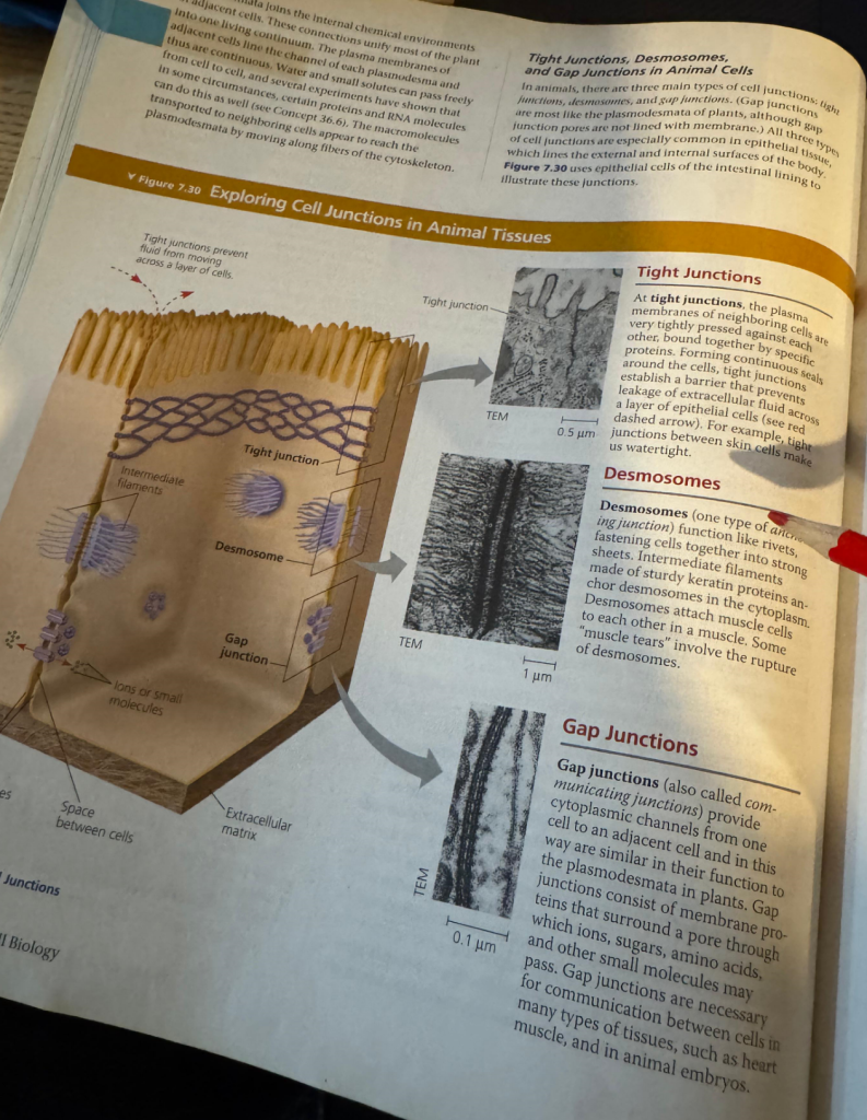 IMAT Book Biology Example 1